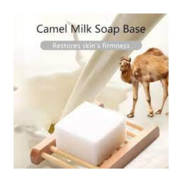 صابون حليب الإبل